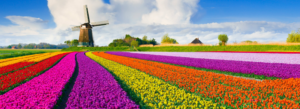 Allergies in the Spring: Seasonal Symptoms